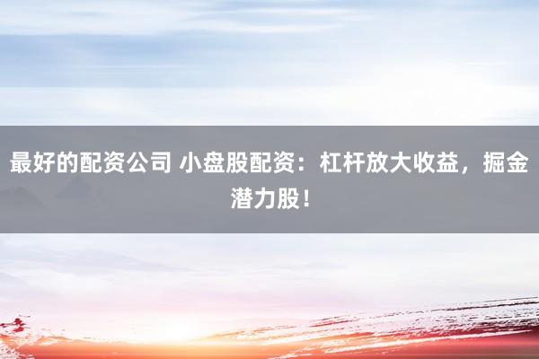 最好的配資公司 小盤股配資：杠桿放大收益，掘金潛力股！