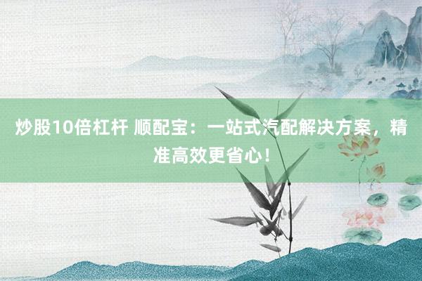 炒股10倍杠桿 順配寶：一站式汽配解決方案，精準高效更省心！